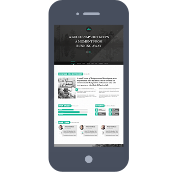 add your image alt text here